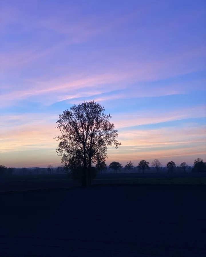 Een echte avondfoto, onaangeroerd